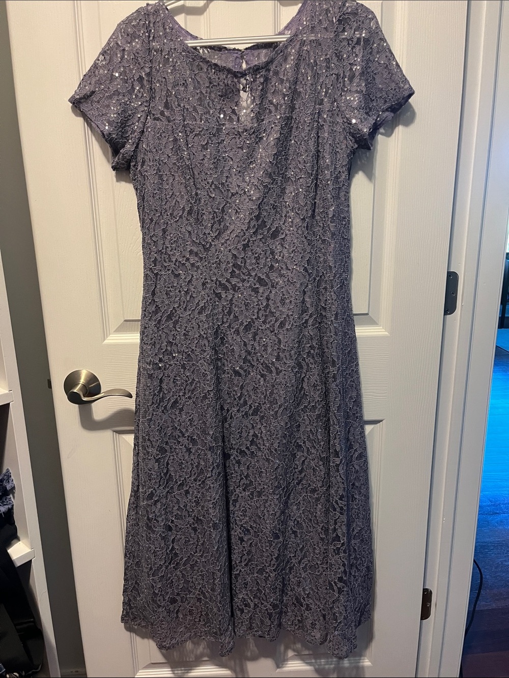 SLNY Sequined Lace Maxi Dress in Purple